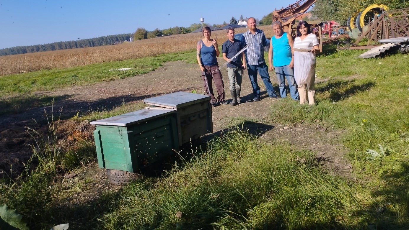 A méhészeknek is fontos magyar találmány segít a veszélyes ázsiai lódarazsak ellen